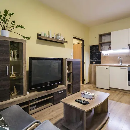 Flexihome Sk - Trieda Snp - Private Parking Spot Apartment