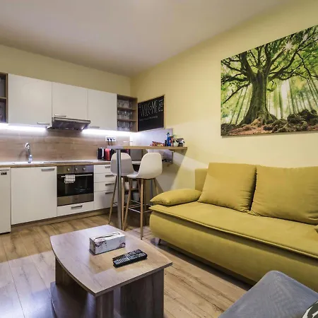 Apartment Flexihome Sk - Trieda Snp - Private Parking Spot